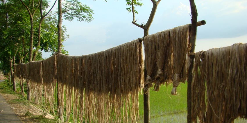 Indulge in a shopping spree for jute products,eco-friendly treasures to discover in Dhaka.