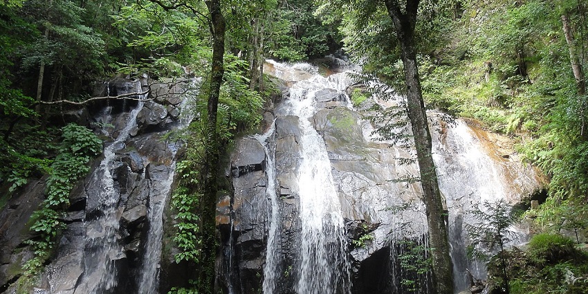 Kanabiki Falls with multiple water streams cascading down lush, mossy rock formations