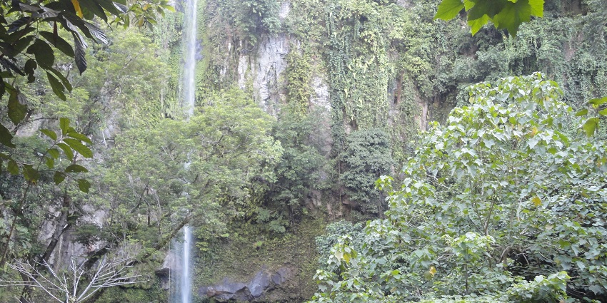 Katibawasan Falls plunges from a high cliff into a clear pool, surrounded by greenery