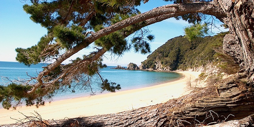 Image of clear waters along the Abel Tasman coastline, one of the best things to do in Abel Tasman.