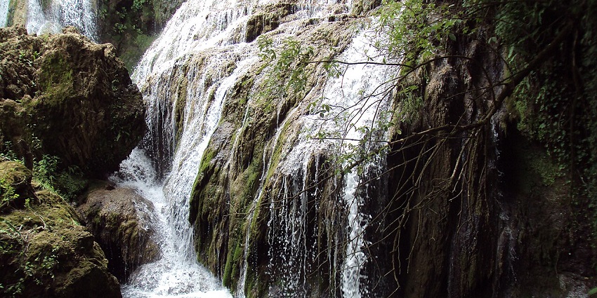 Close-up view of Krushuna Waterfalls cascading over mossy rocks in a lush green forest