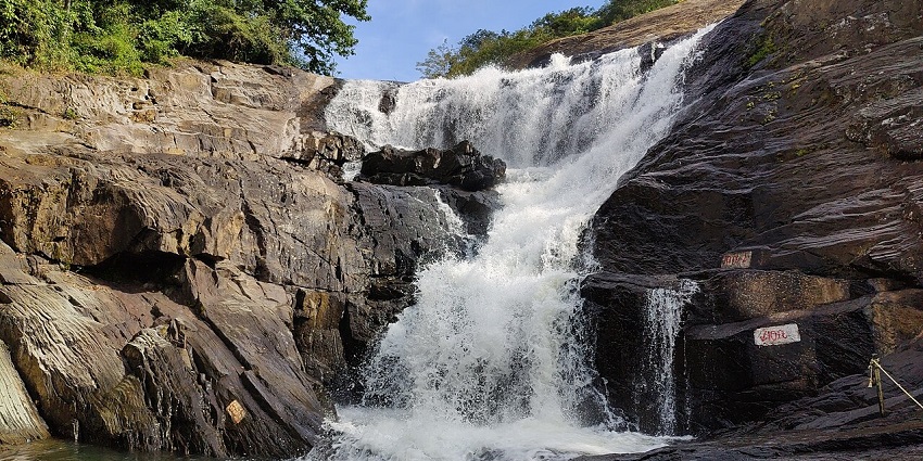 Whitish water cascading from rugged stone cliffs into a pool surrounded by greenery