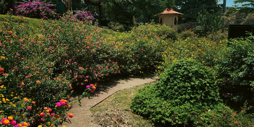 Le Jardin des 5 Sens, a peaceful sensory garden with diverse plants and aromas.