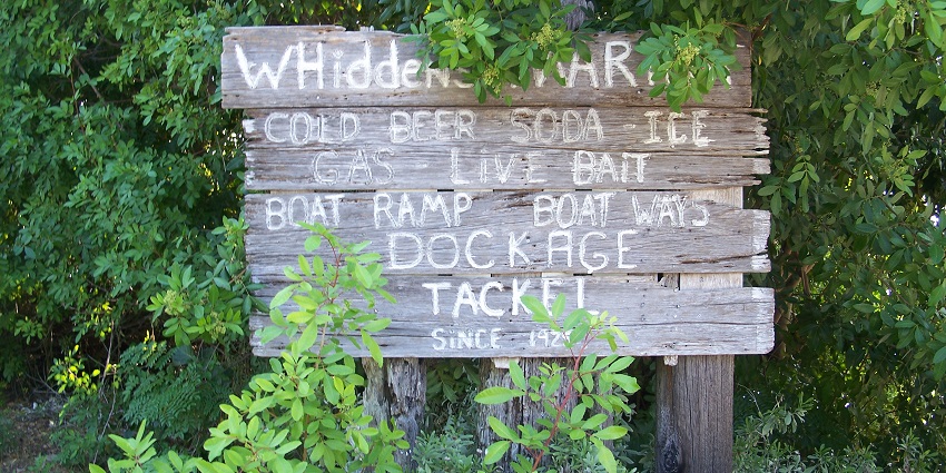 Visit the beautiful Whidden’s Marina with family; among the best things to do in Boca Grande