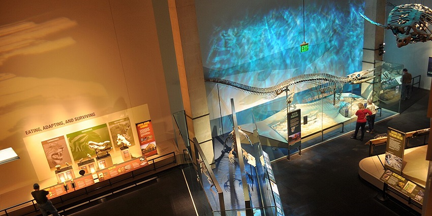 Perot Museum of Nature and Science—one of the top things to do in Dallas.