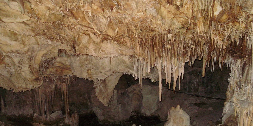 An image of Lehman caves, characteristic of ornate structures, a notable cave in the United States
