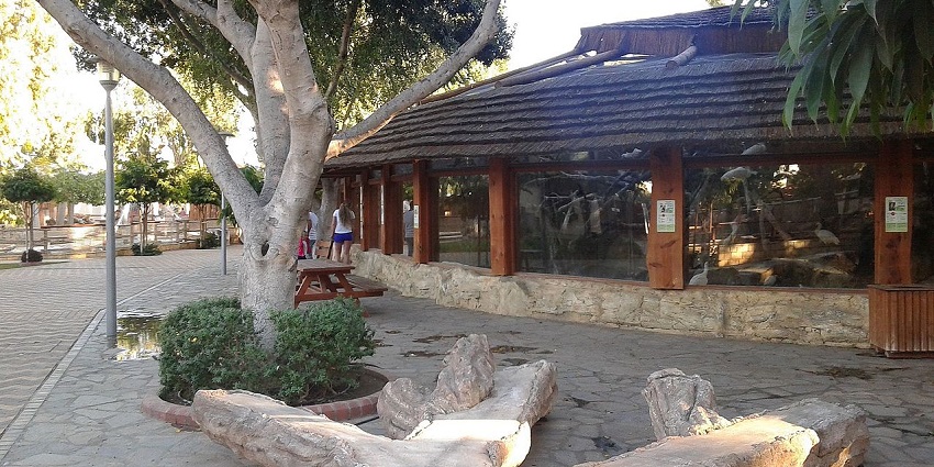 Wildlife at Limassol Zoo, one of the best places for a Cyprus Limassol trip with kids.