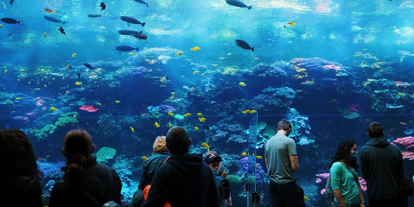 View of Atlantis The Palm where The Lost Chambers Aquarium is located
