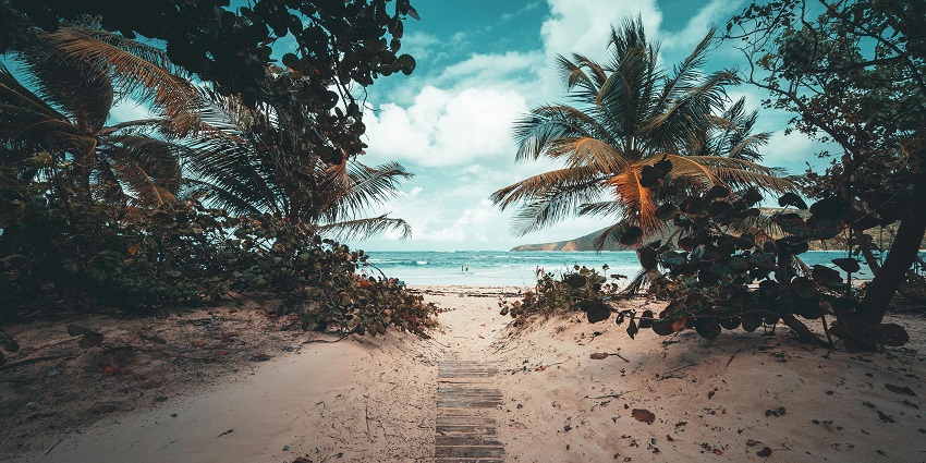 Coconut Tree Hill is located in Mirissa, a beautiful coastal town in southern Sri Lanka.