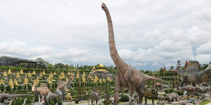 Inside the scenic premises of Nong Nooch tropical gardens