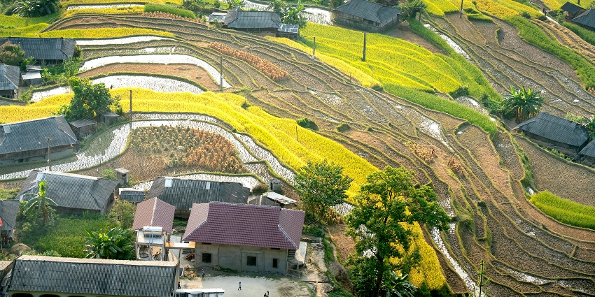 Explore Curvy agricultural plantations and rural cottages in the Cat Cat Village, Vietnam
