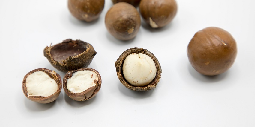 Image of macadamia nuts which is considered a cheap thing to buy in Australia.