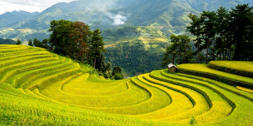 Scenic mountain views and peaceful surroundings at Mae Salong.