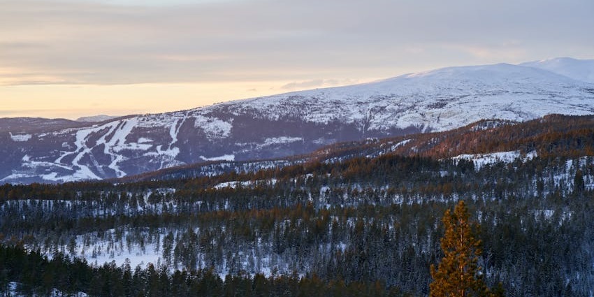 Snow-covered slopes and dense forests in Manning Park during winter, a nature-rich place to visit near Vancouver.