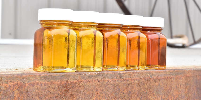 Bottles of various maple syrup grades on display, a sweet and popular souvenir among top things to buy in US.