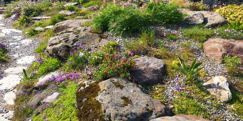 Wander through the world’s northernmost botanical garden, rich in rare plants.