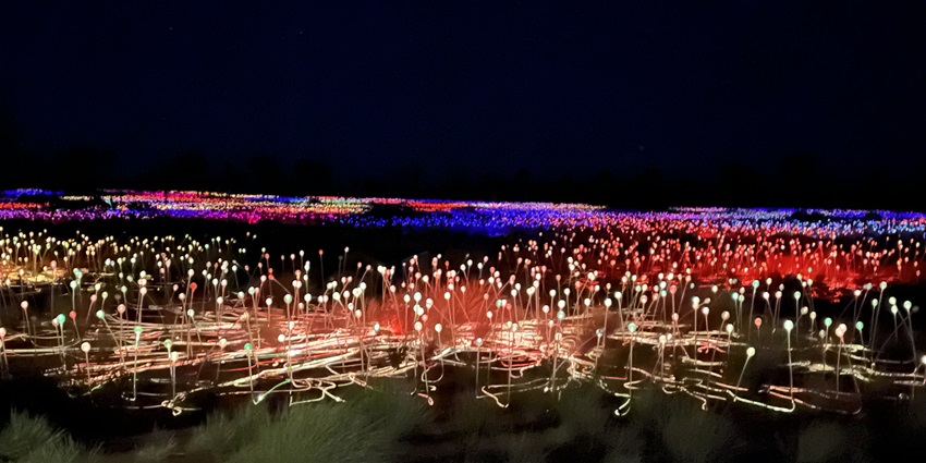A magical light display of 50,000 solar-powered stems covering the desert near Uluru.