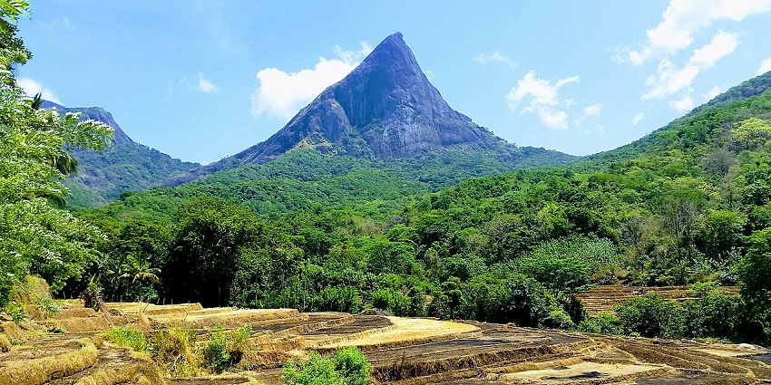 Sharp peak of Lakegala Mountain in Meemure Village in the Central Province of Sri Lanka.