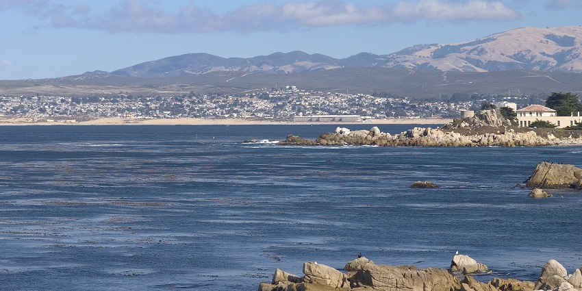 A coastal town with a world-renowned aquarium, Cannery Row, and marine life sightings.