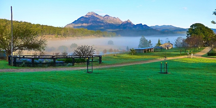 An image of Mount Berney is gorgeous and lush with green, one of the best hill stations in Australia.