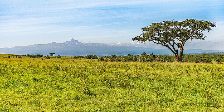 A picture of Mount Kenya Wildlife Conservancy, a conservation-focused Zoo in Kenya