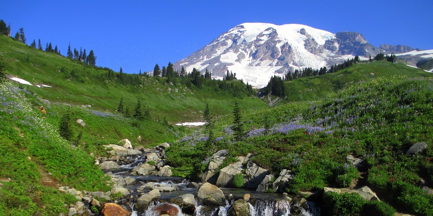 Mount Rainier National Park, a subalpine wonderland with wildflower meadows and glacier views.