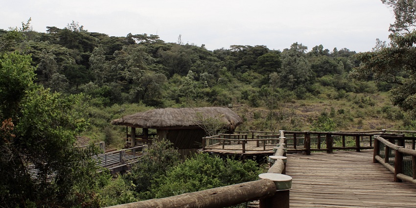 A unique wildlife reserve located just outside the city, home to lions, rhinos, and giraffes, among the best places to visit near Nairobi.