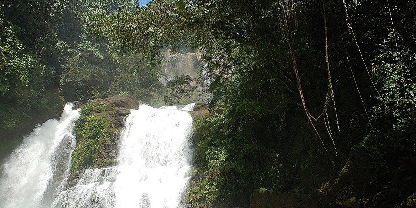 Whitish water flows down rocky cliffs at Nauyaca Waterfalls, surrounded by lush jungle.