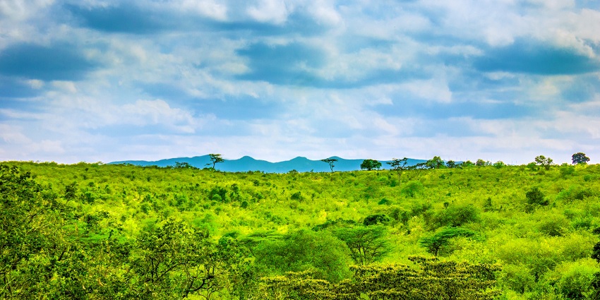 Rolling green hills offering hiking, picnicking, and sweeping views over Nairobi and the Rift Valley, among the best places to visit near Nairobi.