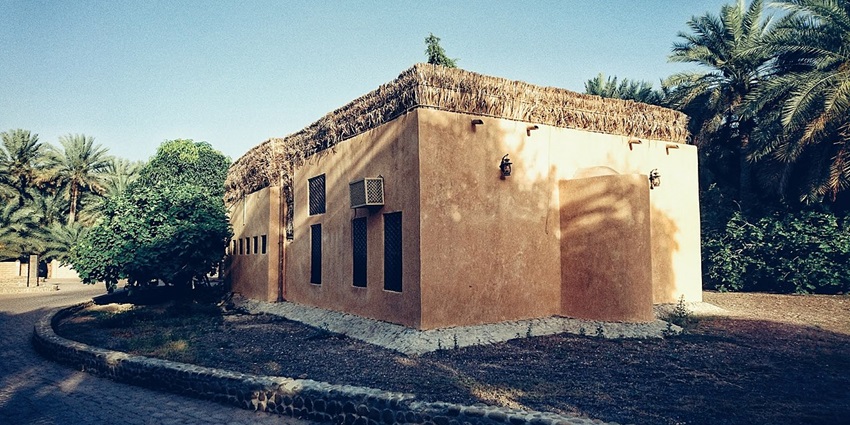 An image of Al Ain Oasis; taking a walk is one of the best things to do in Al Ain at night.