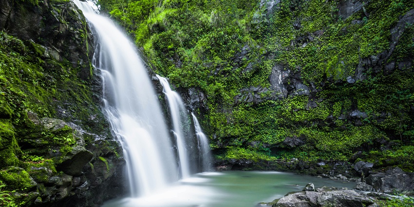 Chutes de la Nsem-Tsa (Nsem-Tsa Falls) cascade over rocky cliffs into a serene pool, surrounded by vibrant greenery.