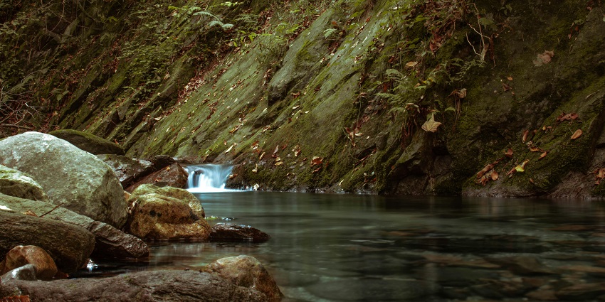 A small waterfall flowing into a creek surrounded by big rocks and plants on the mossy cliff.