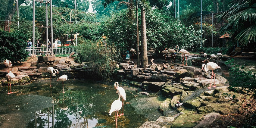 Overa Aru Wildlife Sanctuary, a rich haven among wildlife sanctuaries in Kashmir.