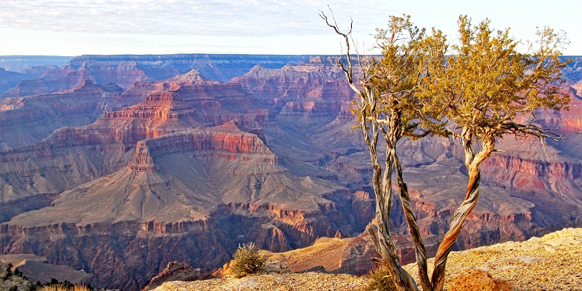 Massive canyon cliffs with deep valleys and layered rock formations under a clear sky.