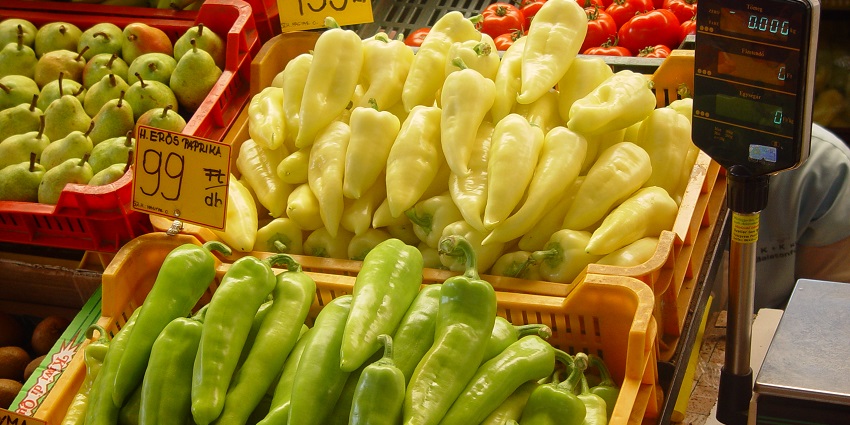 Farmers display paprika varieties at Paprika Festival, with music, lectures, and local produce enriching the experience.