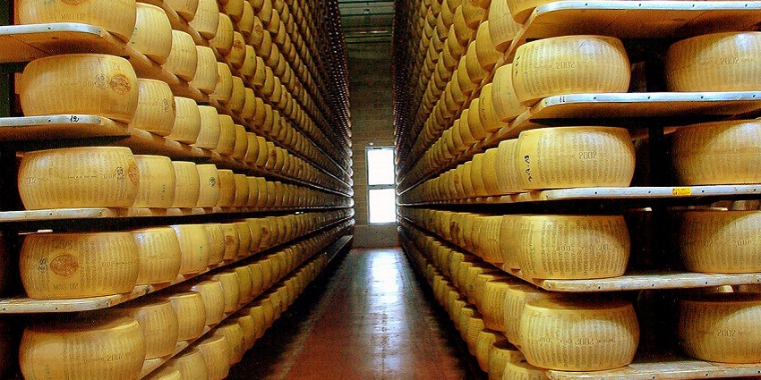 An image showing Parmigiano Reggiano cheese blocks and grated portions.