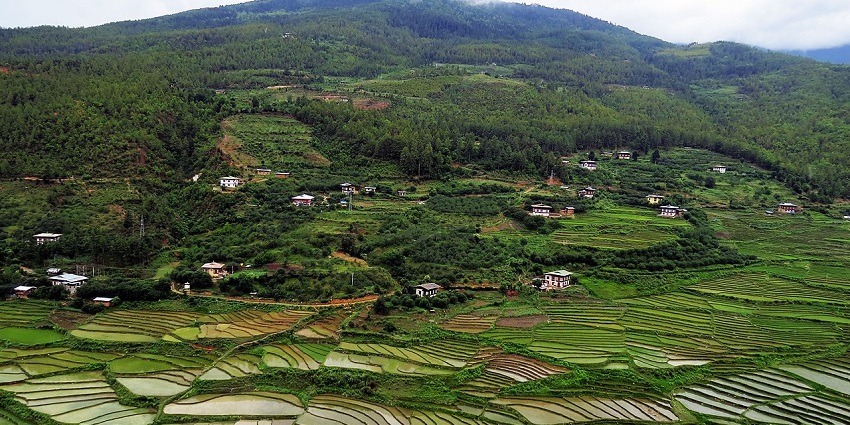 Agricultural fields in Paro Valley with scattered houses surrounded by mountains.
