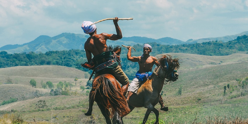 Two men on horses performing combat with wooden sticks in the Pasola festival