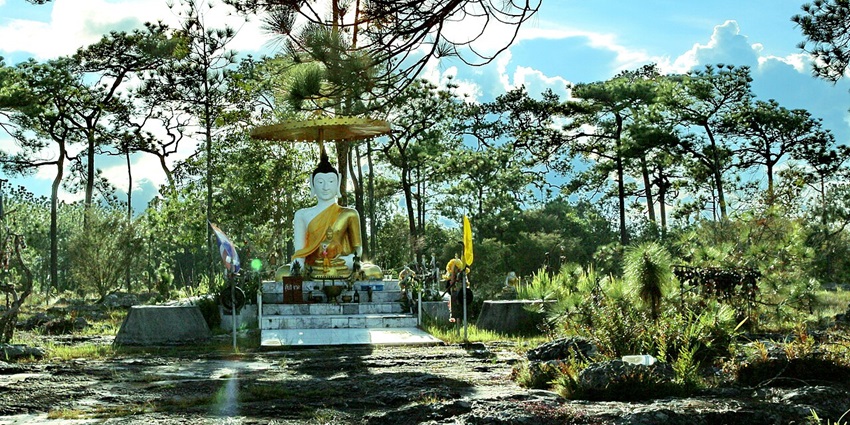 One of the hill stations in Thailand is Phu Kradueng, a national park plateau.