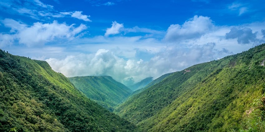 Lush green landscape at Phulchowki, a serene hill station.