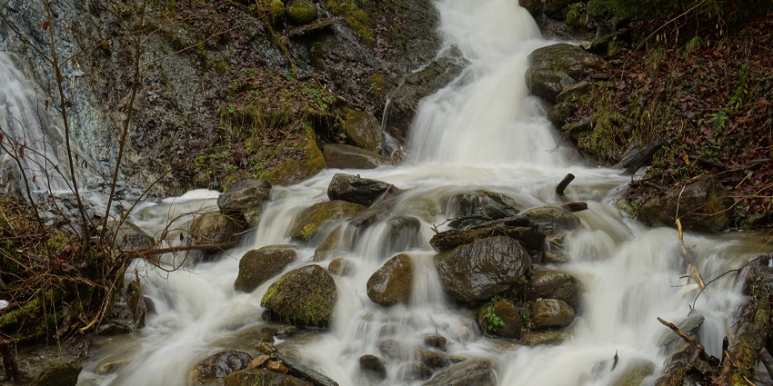 A waterfall flowing into emerald green pools surrounded by thick vegetation forests.