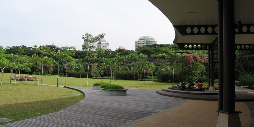 Practice Tai Chi at Toa Payoh Town Park, a peaceful and rejuvenating activity.