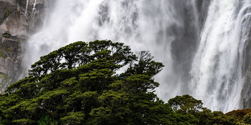 A scenic waterfall is spilling between trees while sunlight is glinting off the flowing water.