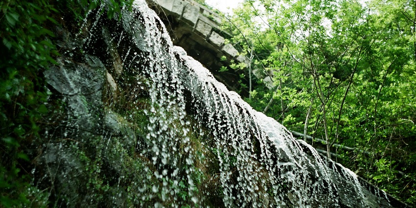 A serene artificial waterfall in lush greenery in a peaceful nature reserve setting.