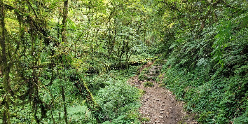 Qinglv Valley Trail is a peaceful green route, one of the best places to visit near Macau.