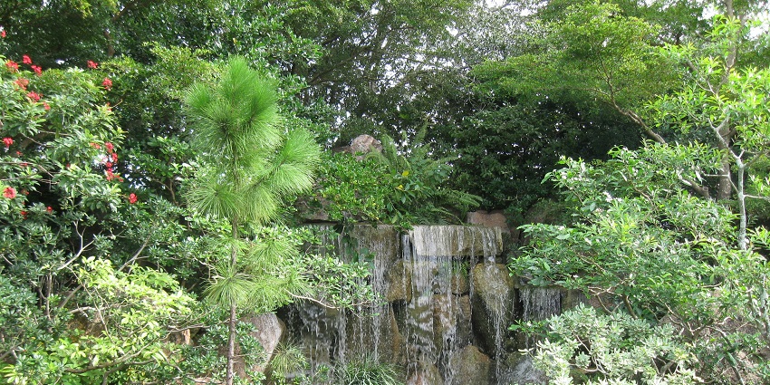 A cool temperate rainforest waterfall cascades through lush greenery in a forest setting.