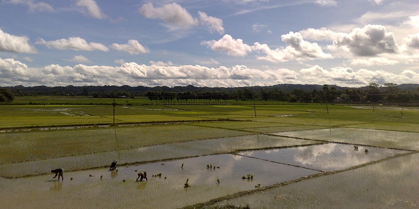 The floating clouds above the paddy fields of the Rangamati area with busy farmers at work.