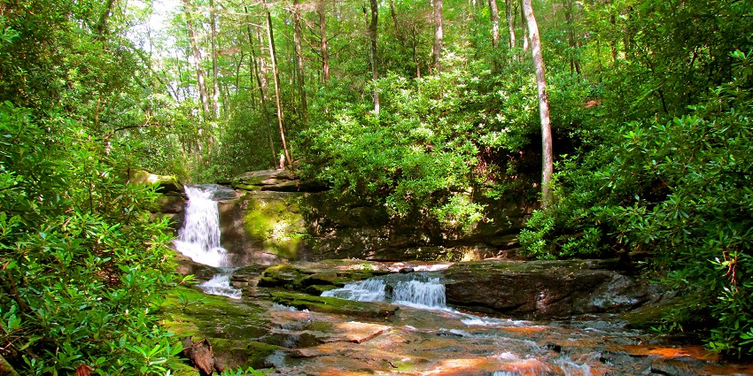 Raven Cliff trail with a stream flowing down the rocky surface surrounded by greenery