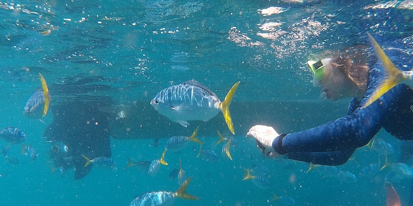 Try reef snorkeling with your loved ones, among the things to do in San Vicente, Palawan.