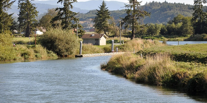 Tranquil section of the Trask River flowing through dense forest, ideal for nature walks.